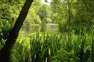 Natuurmonumenten wandeling